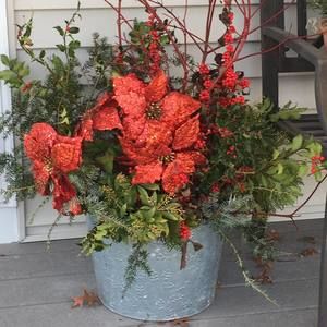 Meet your Posher, Paula